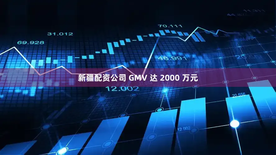 新疆配资公司 GMV 达 2000 万元