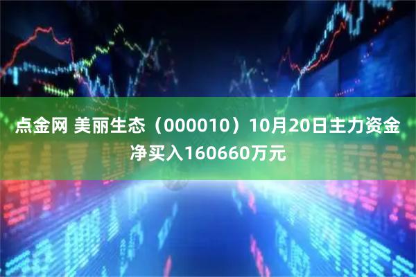 点金网 美丽生态（000010）10月20日主力资金净买入160660万元
