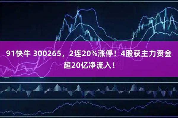 91快牛 300265，2连20%涨停！4股获主力资金超20亿净流入！